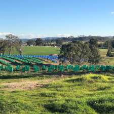 Hunter Valley Avocados | 1590 Fosterton Rd, Fosterton NSW 2420, Australia