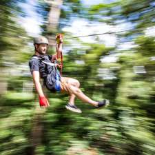 TreeTop Challenge Big Pineapple | 76 Nambour Connection Rd, Woombye QLD 4559, Australia