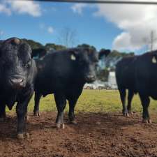 Bannaby Angus | 456 Strathaird Ln, Taralga NSW 2580, Australia