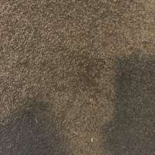 Oops Carpet Cleaning Toorak | 145 Canterbury Rd, Toorak VIC 3142, Australia