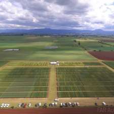 Field Applied Research (FAR) Australia - VIC Office | Shed 2/63 Holder Rd, Bannockburn VIC 3331, Australia