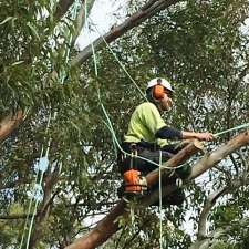 Honest Tree Services | 32 Main N Rd, Willaston SA 5118, Australia