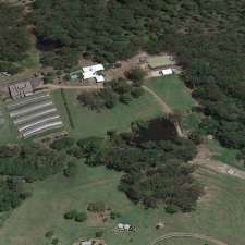 The Kula Farm | 1114 Eumundi Noosa Rd, Verrierdale QLD 4562, Australia