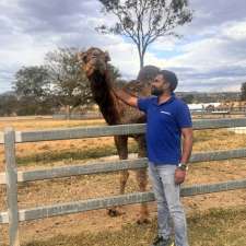 Holidazzle PTY LTD | Establishment | 207 Belvedere Dr, Spring Mountain QLD 4300, Australia