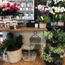 The Posy Place | Shop 10/7-17 Waters Rd, Neutral Bay NSW 2089, Australia