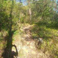 Bush trail | Oyster Bay NSW 2225, Australia