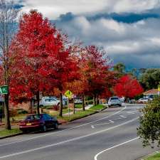 Mount Annan Public School - Stenhouse Dr, Mount Annan NSW 2567, Australia