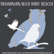 TAS WILD BABY RESCUE | 1514 Huon Rd, Neika TAS 7054, Australia