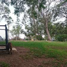 Dutton Park Dog Park | Dutton Park QLD 4102, Australia