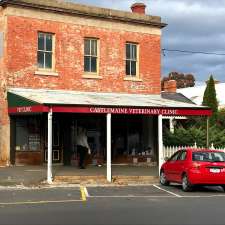 Castlemaine Veterinary Clinic 56 58 Hargraves St Castlemaine Vic 3450 Australia
