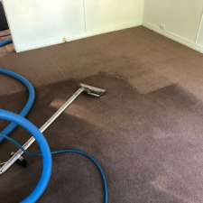 Fair Dinkum Carpet & Pest Control | 8 Calluna Pl, Mountain Creek QLD 4557, Australia