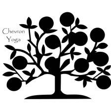 Chevron Yoga Centre | 2/58 Township Dr, Burleigh Heads QLD 4220, Australia