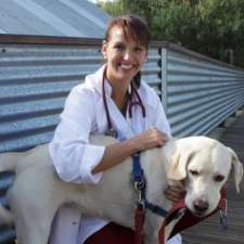 i-Vet Online Veterinarian Service Only | 53 Hudson Fysh Ave, Parap NT 0820, Australia