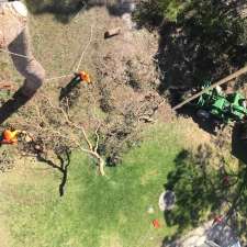 South West Tree Services | 121 Ironmonger Rd, Karridale WA 6288, Australia