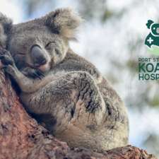 Port Stephens Koala Hospital (PSKH) | 562 Gan Gan Rd, One Mile NSW 2316, Australia
