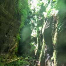 Claustral Canyon - Bells Line of Rd, Mount Tomah NSW 2758, Australia