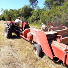 Rokewood Olive Grove | 1083 Balingup-Nannup Rd, Balingup WA 6253, Australia