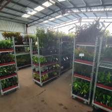 Westland Nurseries | 118 Surf Rd, Seven Mile Beach TAS 7170, Australia