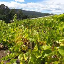 White Rock Vineyard | 1171 Railton Rd, Kimberley TAS 7304, Australia