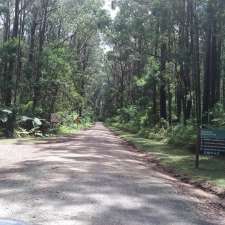 Bellbird campground | Coombadjha Track, Gibraltar Range NSW 2370, Australia