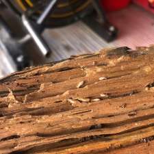 TC Pest & Termite Control | Dumfries Pl, Bowral NSW 2576, Australia