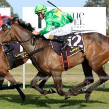 Tuncurry-Forster Jockey Club - Horse Racing Clubs NSW | 45 Chapmans Rd, Tuncurry NSW 2428, Australia