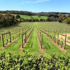 Morning Sun Vineyard | 337 Main Creek Rd, Main Ridge VIC 3928, Australia