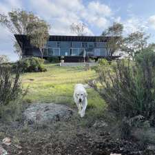 Rock Forest Vineyard | Establishment | 12 Pine Ridge Rd, Rock Forest NSW 2795, Australia