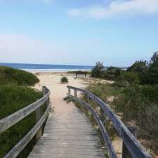 Back Beach | N Boundary Trail, Black Head NSW 2430, Australia