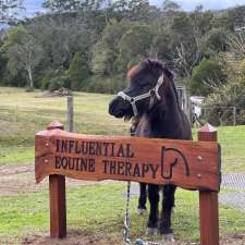Influential Equine Therapy | 131 Footts Rd, Ourimbah NSW 2258, Australia