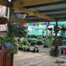 The Wonky Pot Plant Nursery | 259 Averys Ln, Buchanan NSW 2323, Australia