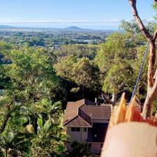 Elite Tree Company | 27 Quondong Ct, Yandina QLD 4561, Australia