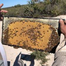 Windarra Honey | 5 George St, West Swan WA 6055, Australia