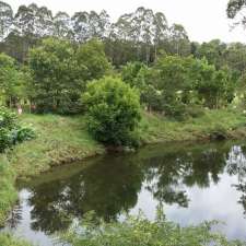 Platypus Viewing Platform (Maleny) | North Maleny QLD 4552, Australia