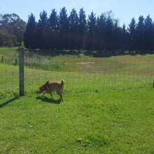 Leash Free Dog Area | 35 Cobb Rd, Mount Eliza VIC 3930, Australia