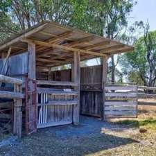 Black Beauty Equine Assisted Therapy | Whelan Rd, Bollier QLD 4570, Australia