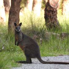 Swan Lake Path - Parking Area | 935 Ventnor Rd, Ventnor VIC 3922, Australia