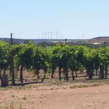 Galango Grape Farm | McCarley Rd, Walkaway WA 6528, Australia