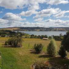 Liopoto Springs Vineyard | 143 Rosevears Dr, Rosevears TAS 7277, Australia