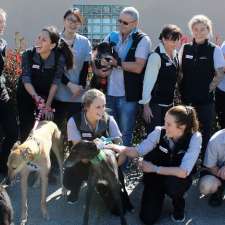 Doyalson Animal Hospital | 423 Scenic Dr, Doyalson NSW 2262, Australia