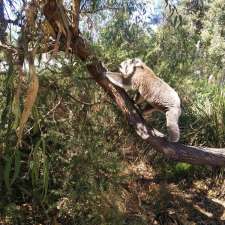 Raymond Island Gippsland Lakes Reserve | Raymond Island VIC 3880, Australia