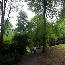 Mount Dandenong Arboretum | 65 Ridge Rd, Mount Dandenong VIC 3767, Australia