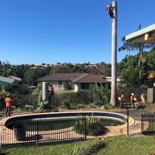 Budget Tree Service QLD | 264 Beelbi Creek Rd, Beelbi Creek QLD 4659, Australia