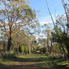 Totness Recreation Park - southern section | Haines Firetrack, Paechtown SA 5245, Australia