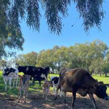 Ethical dairy company | 5430 Benalla-Tocumwal Rd, Katamatite VIC 3649, Australia