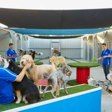Baldivis Boarding Kennels and Cattery | 16 Young Rd, Baldivis WA 6171, Australia