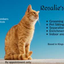 Rosalie's Pet Services | Balvenie St, Keperra QLD 4054, Australia