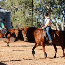 Devereaux Performance Horses | 988 Brand Hwy, Muchea WA 6501, Australia