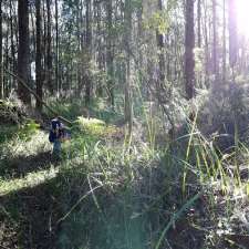 Clematis Park Bushland Reserve | Clematis VIC 3782, Australia