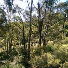 Bibbulmun Track | Paulls Valley WA 6076, Australia